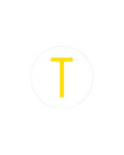 Bogg Bit - Initial "T" Bogg Bit - Initial "T"