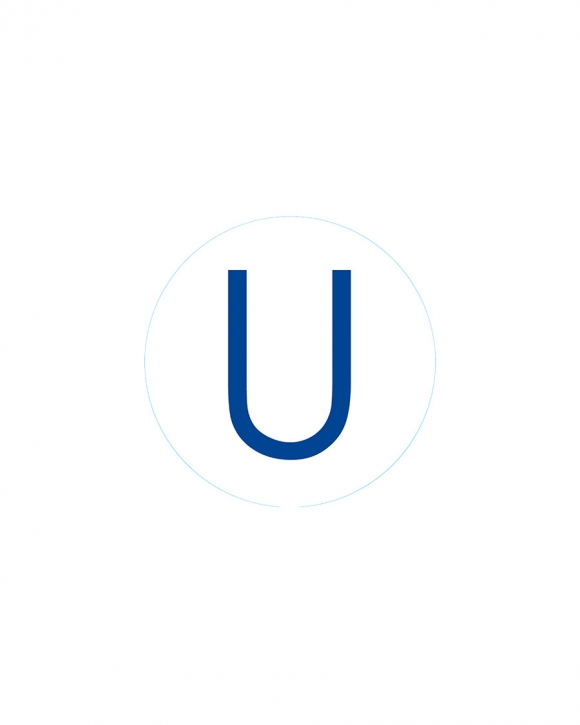 Bogg Bit - Initial "U" Bogg Bit - Initial "U"