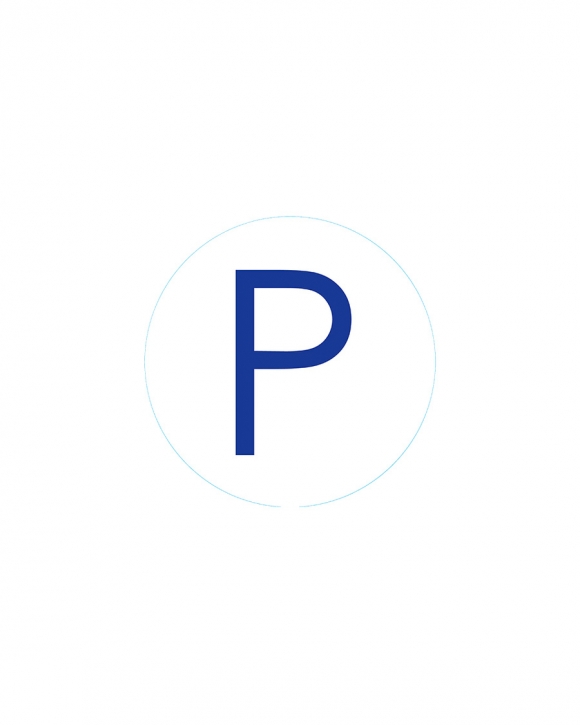 Bogg Bit - Initial "P" Bogg Bit - Initial "P"