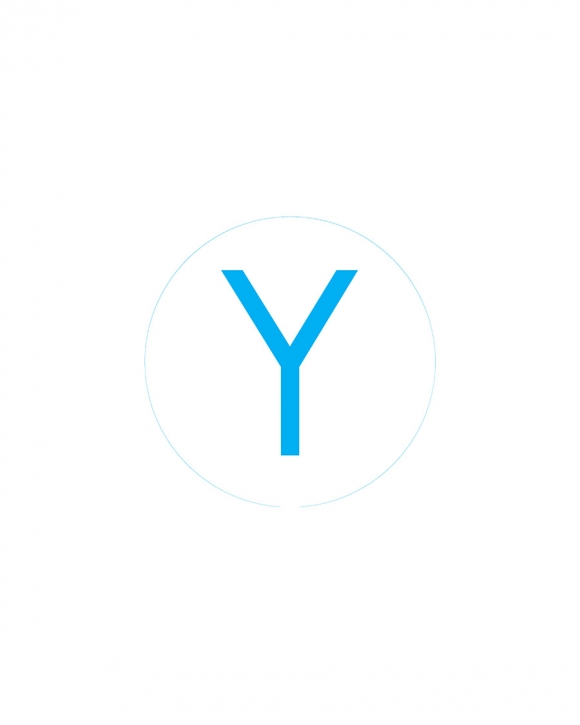 Bogg Bit - Initial "Y" Bogg Bit - Initial "Y"