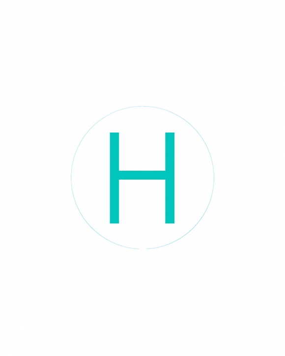 Bogg Bit - Initial "H" Bogg Bit - Initial "H"