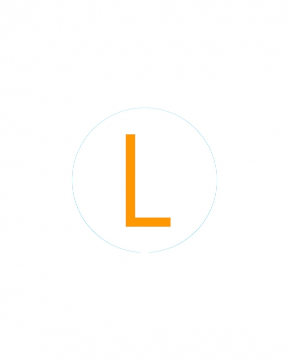 Bogg Bit - Initial "L" Bogg Bit - Initial "L"
