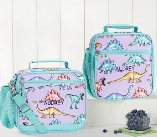 Mackenzie Lavender Multi Dinosaur Lunch Boxes