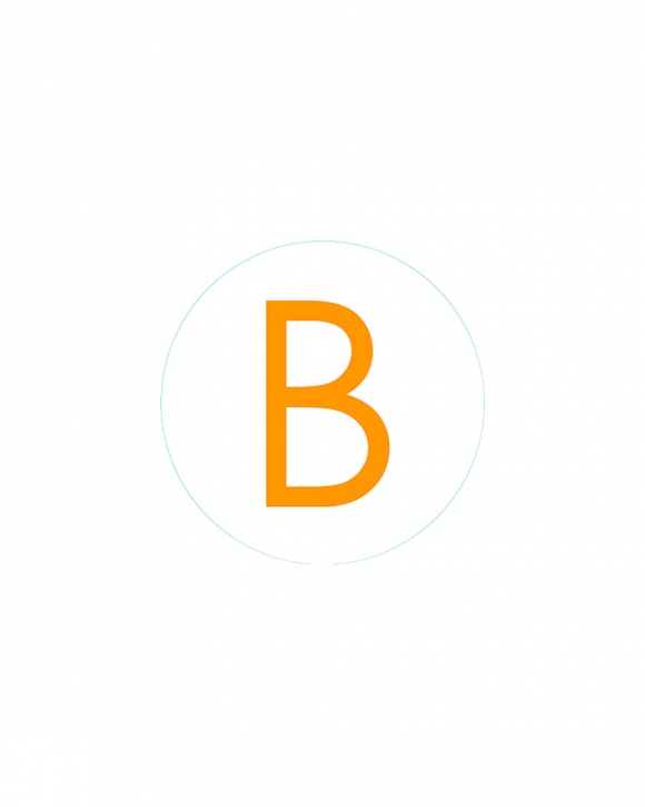 Bogg Bit - Initial "B" Bogg Bit - Initial "B"