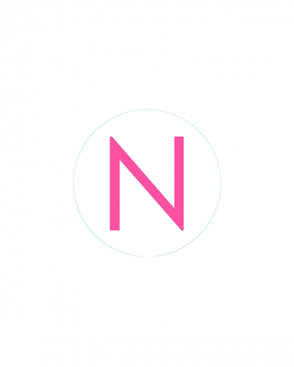 Bogg Bit - Initial "N" Bogg Bit - Initial "N"