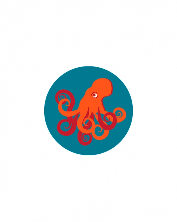 Bogg Bit - Octopus Bogg Bit - Octopus