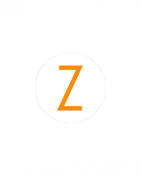Bogg Bit - Initial "Z" Bogg Bit - Initial "Z"