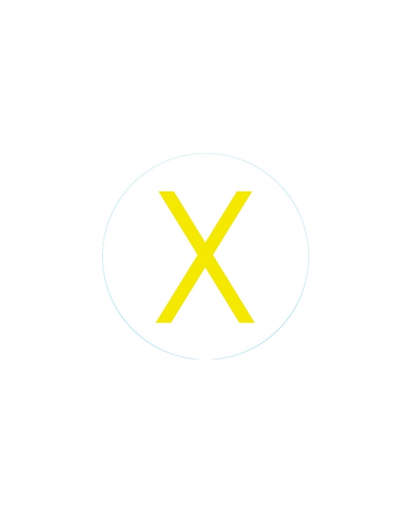 Bogg Bit - Initial "X" Bogg Bit - Initial "X"
